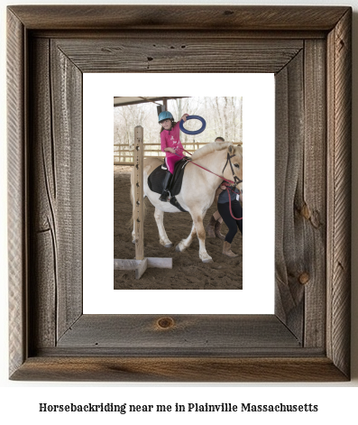 horseback riding near me in Plainville, Massachusetts